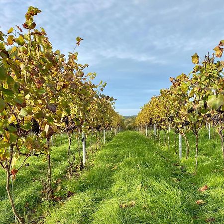 Potts Farm Villa Tenterden Eksteriør billede