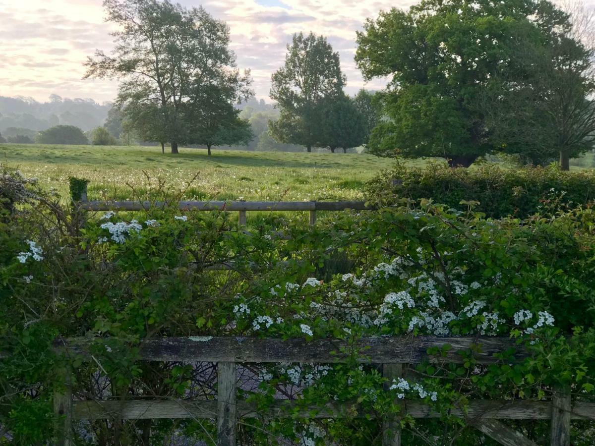 Potts Farm Villa Tenterden Eksteriør billede